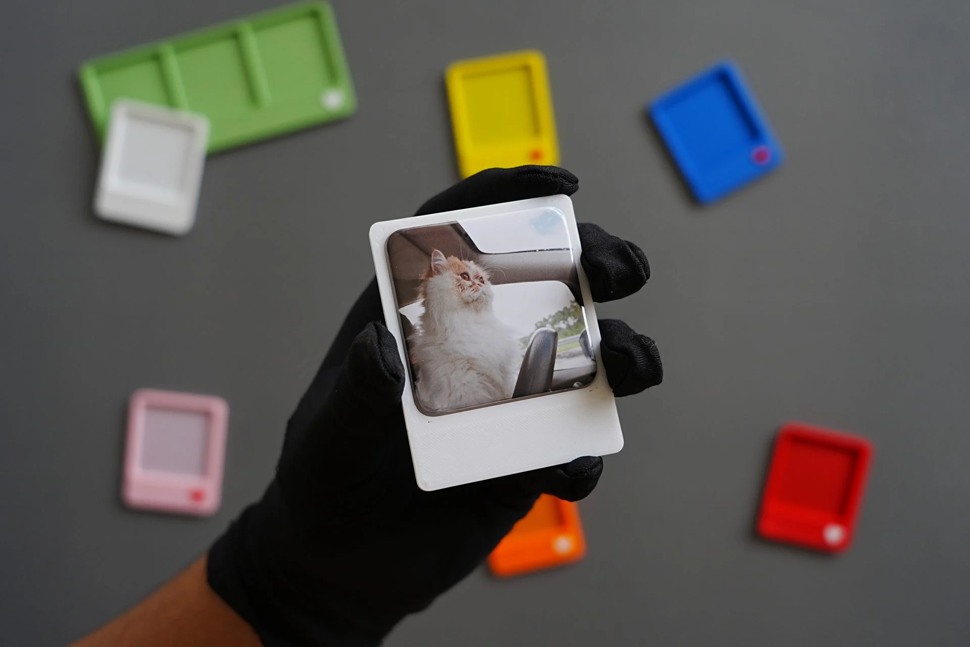 A later white Solo frame holding a cat photograph during a studio test